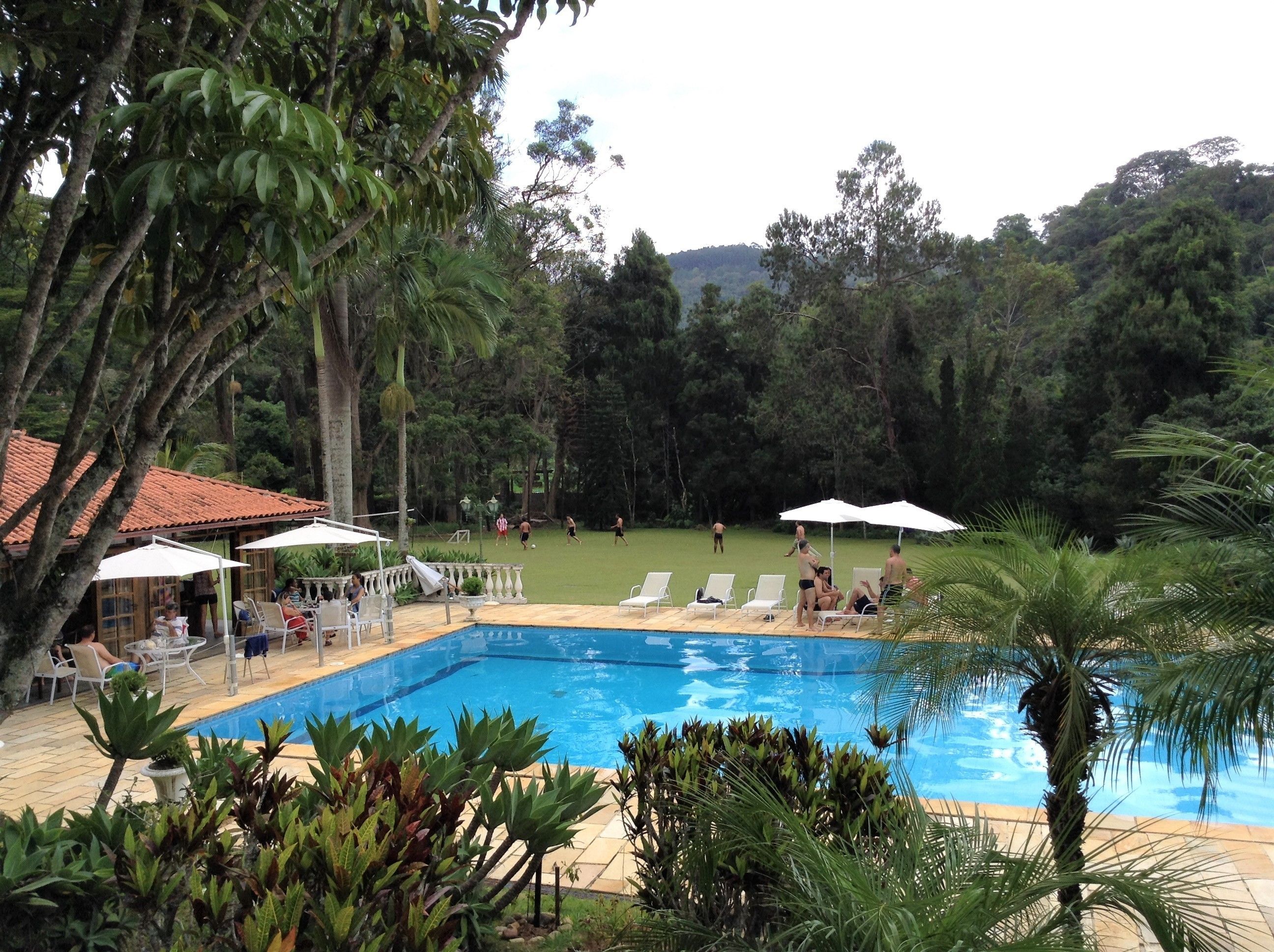 Outdoor pool, pool umbrellas, pool loungers