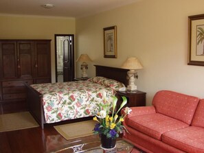 Premium Room, 1 Queen Bed with Sofa bed