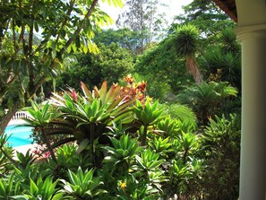 Jardí