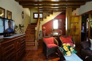 Smart TV, chimenea, reproductor de DVD, libros