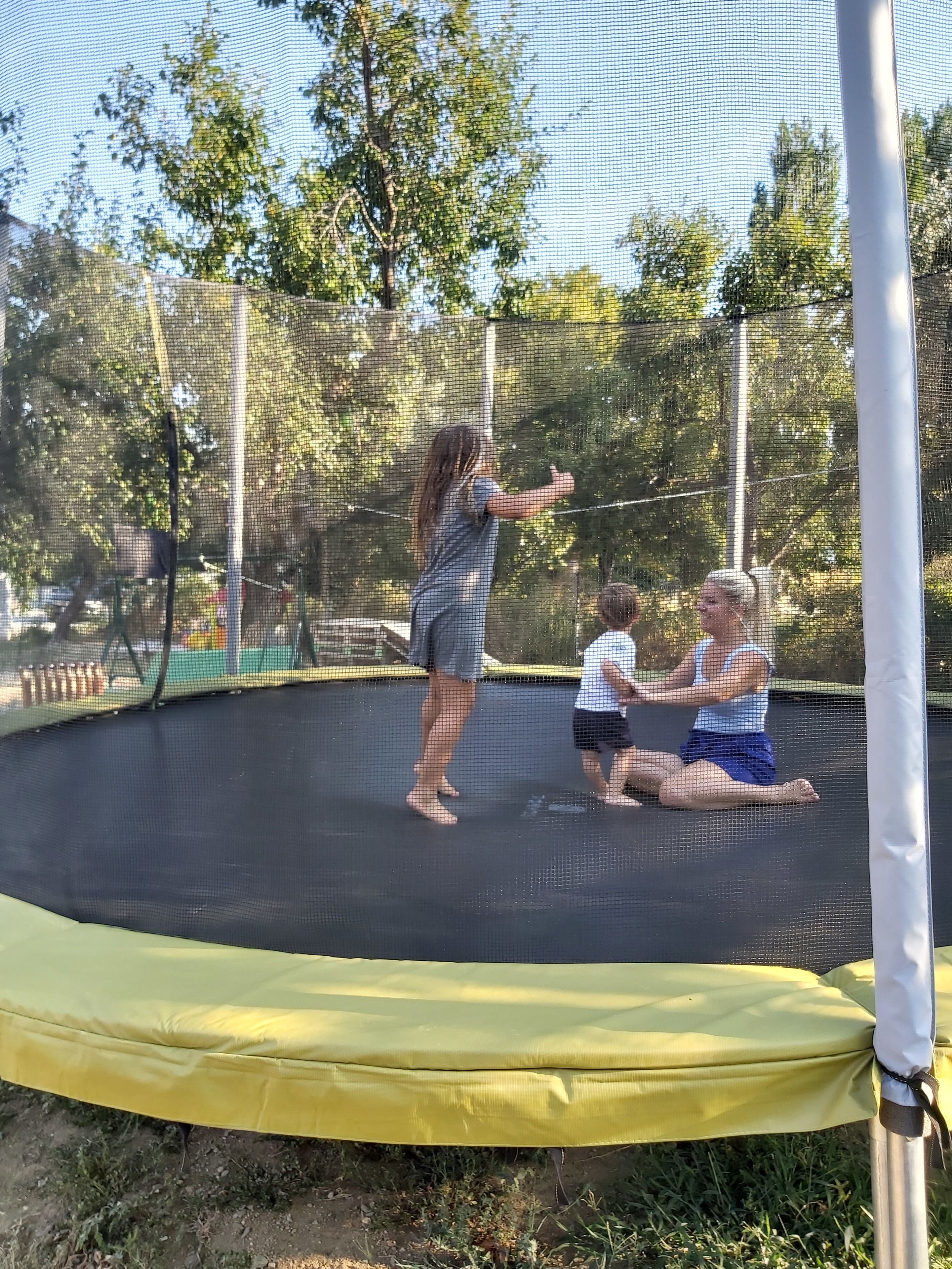 A trampoline with a safety net, surrounded by trees and a clear sky.