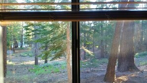 Una ventana con vista a zona boscosa, que incluye árboles y un sendero de tierra.
