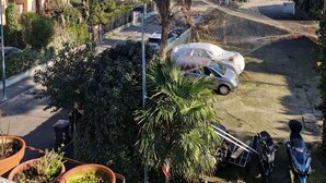 Zona residencial con edificios de varios pisos, una calle con coches aparcados y un árbol grande al frente.