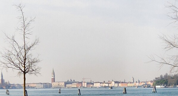 A waterfront cityscape with sailboats, a prominent tower, and a leafless tree in the foreground.