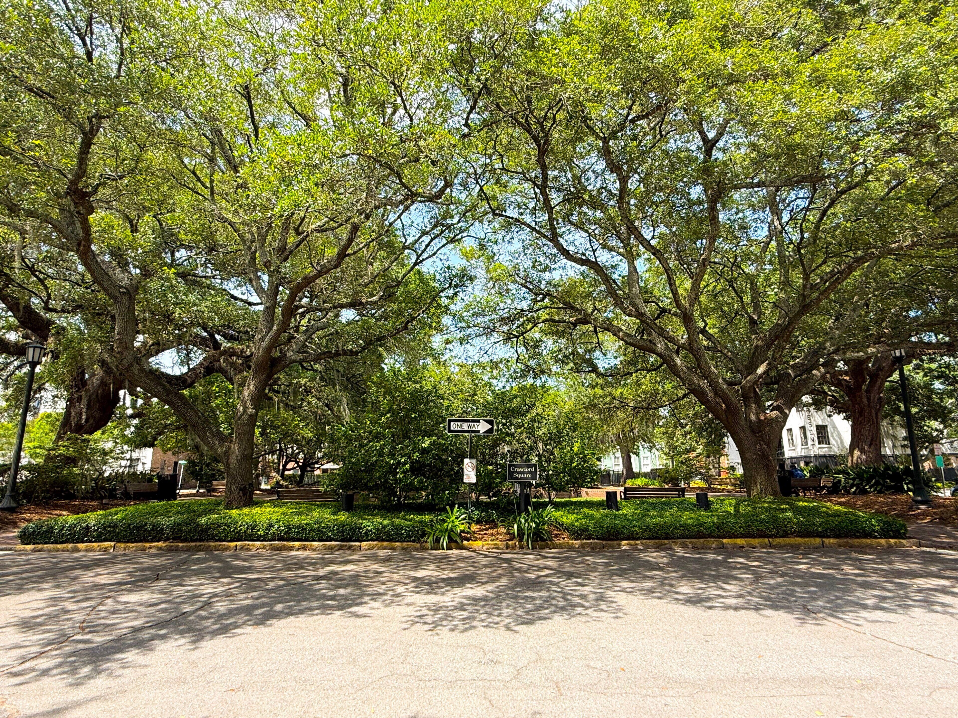 A park with large trees, a paved walkway, and a sign indicating one-way traffic.