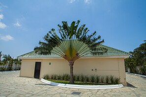 Terrace/patio - Hotel Luna Inn (Altamira)