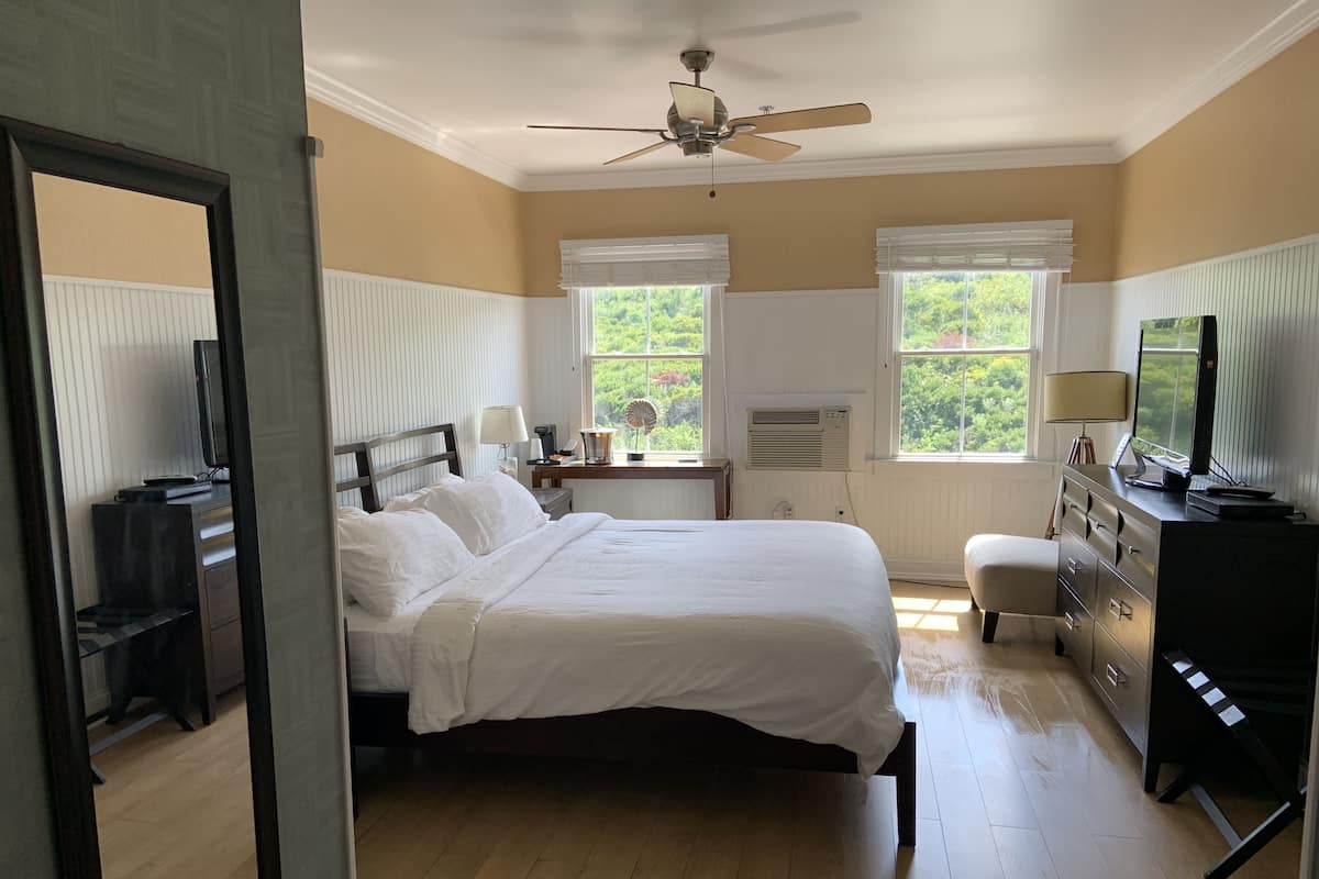 Standard Room, 1 King Bed | In-room safe, iron/ironing board, free cribs/infant beds, rollaway beds