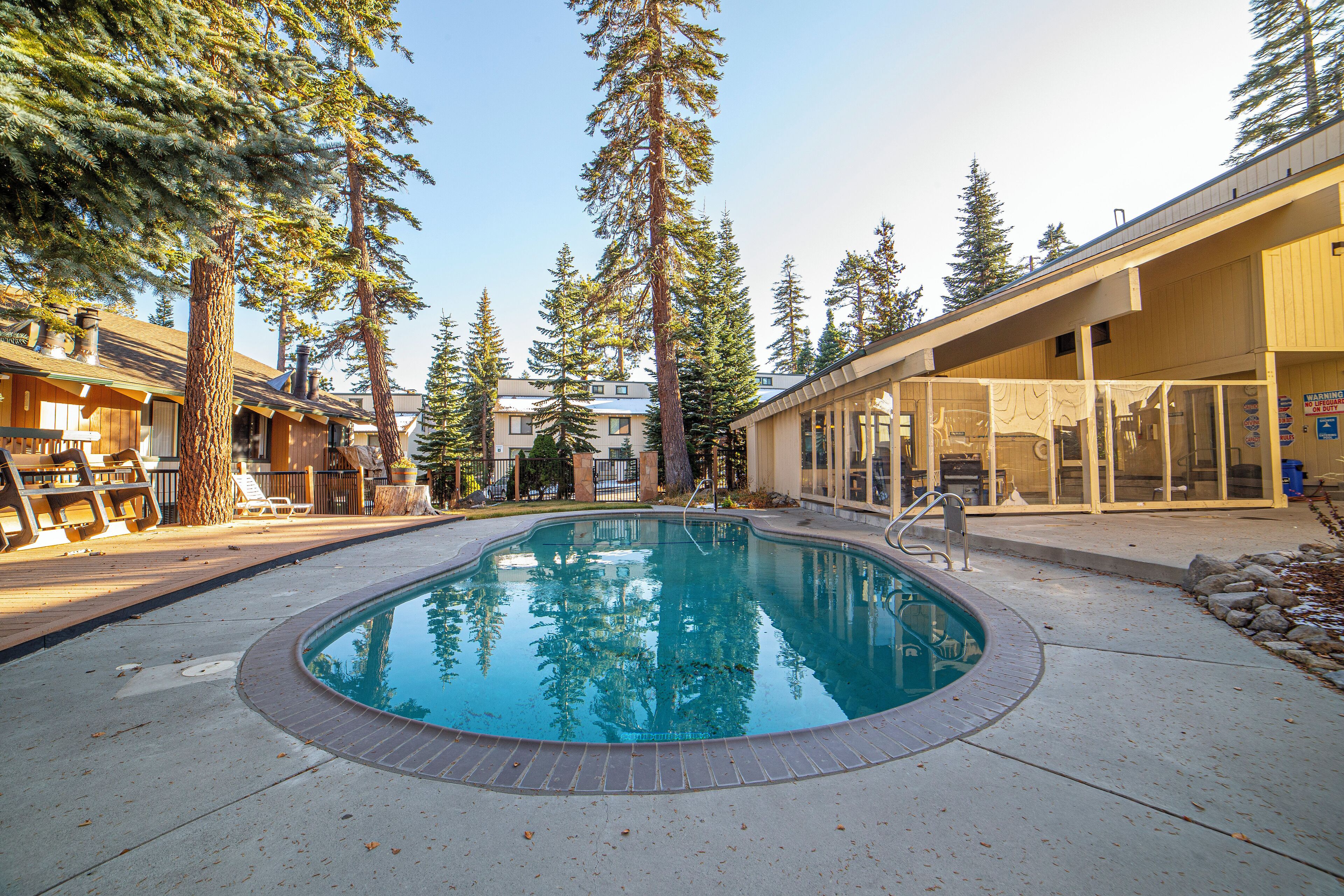 A swimming pool surrounded by tall trees and buildings with a clear sky.