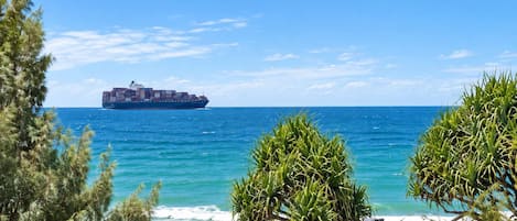 A beach with a cargo ship in the distance, palm trees, and people on the shore.