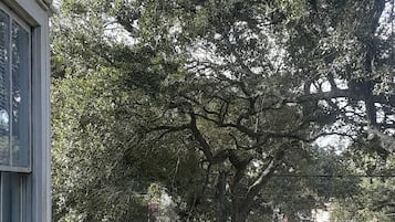 特色單棟房屋 | 客房景觀