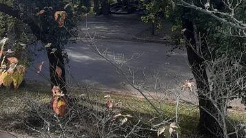 Parkkipaikka, jossa on puita ja taustalla näkyy rakennus.