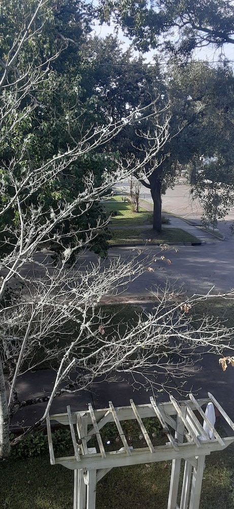 Baxter's Brewhouse Inn by null