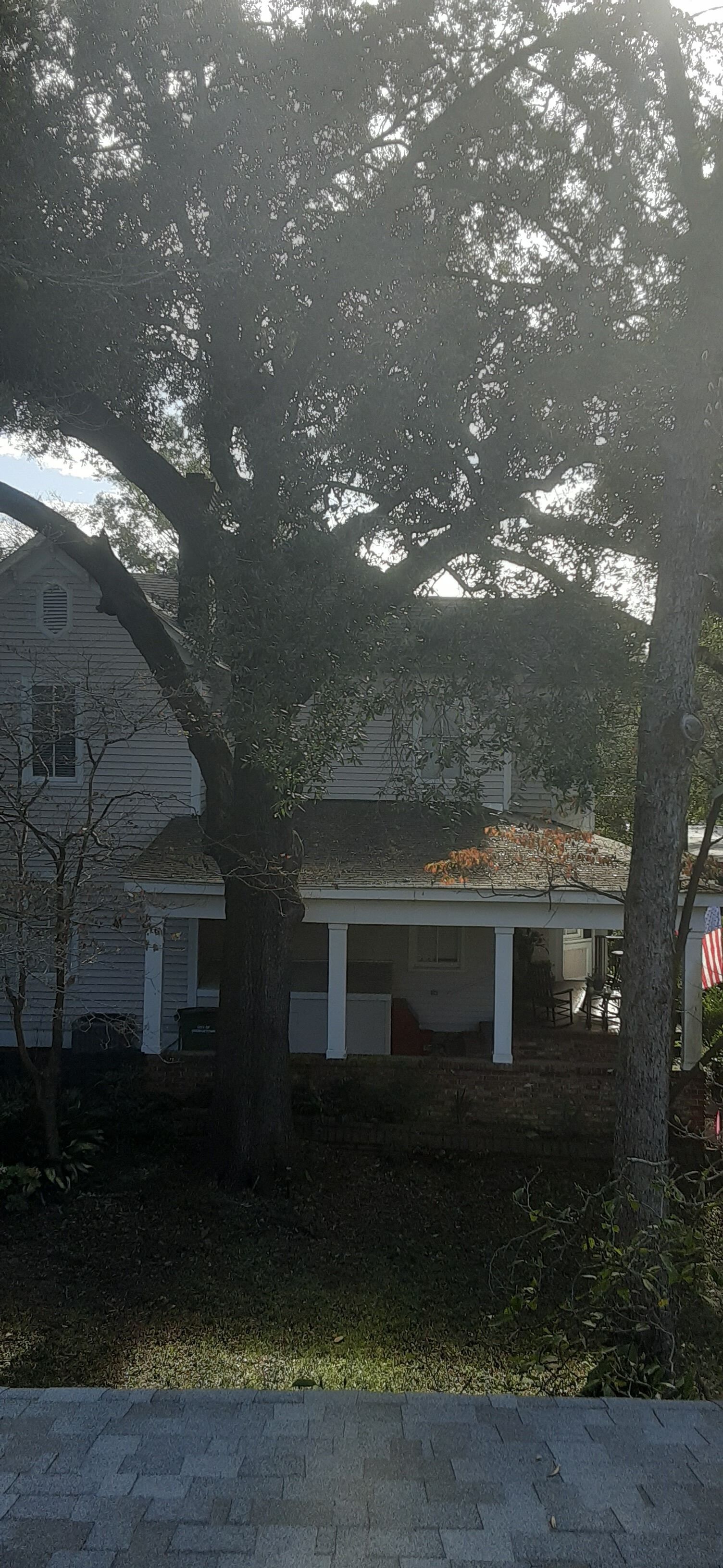 Een huis met een veranda en een grote boom ervoor.