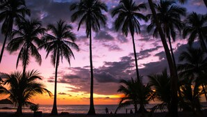 A beach scene with palm trees and a sunset. - Luxury Ground Floor  Condo, close to pool access to beach club at Los Suenos. (PUNTARENAS)