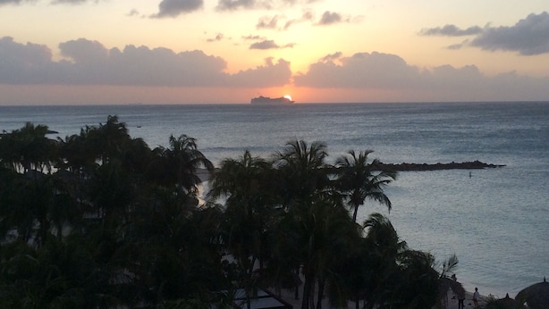 Atardecer sobre el océano con palmeras al frente.