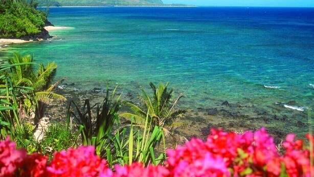 A tropical beach with clear turquoise water, a sandy shore, and lush greenery.