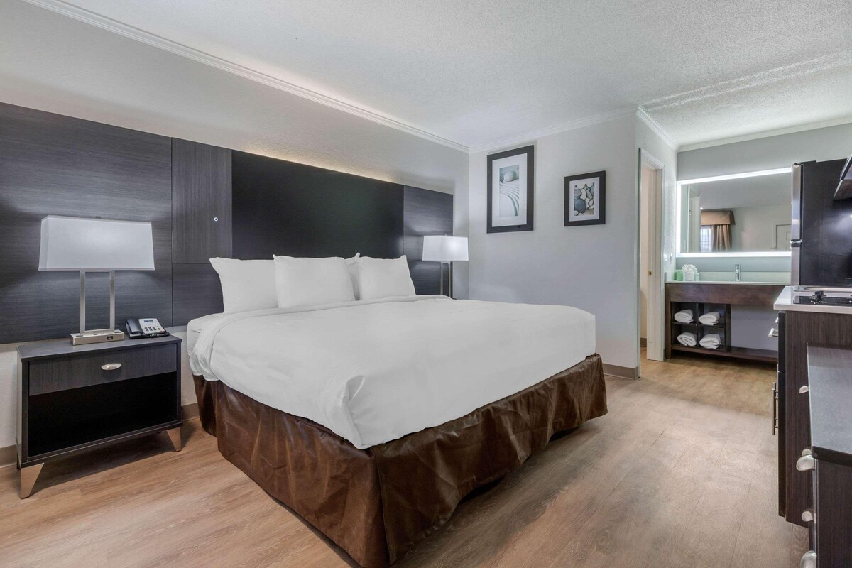 1 King Bed, Efficiency, Smoking