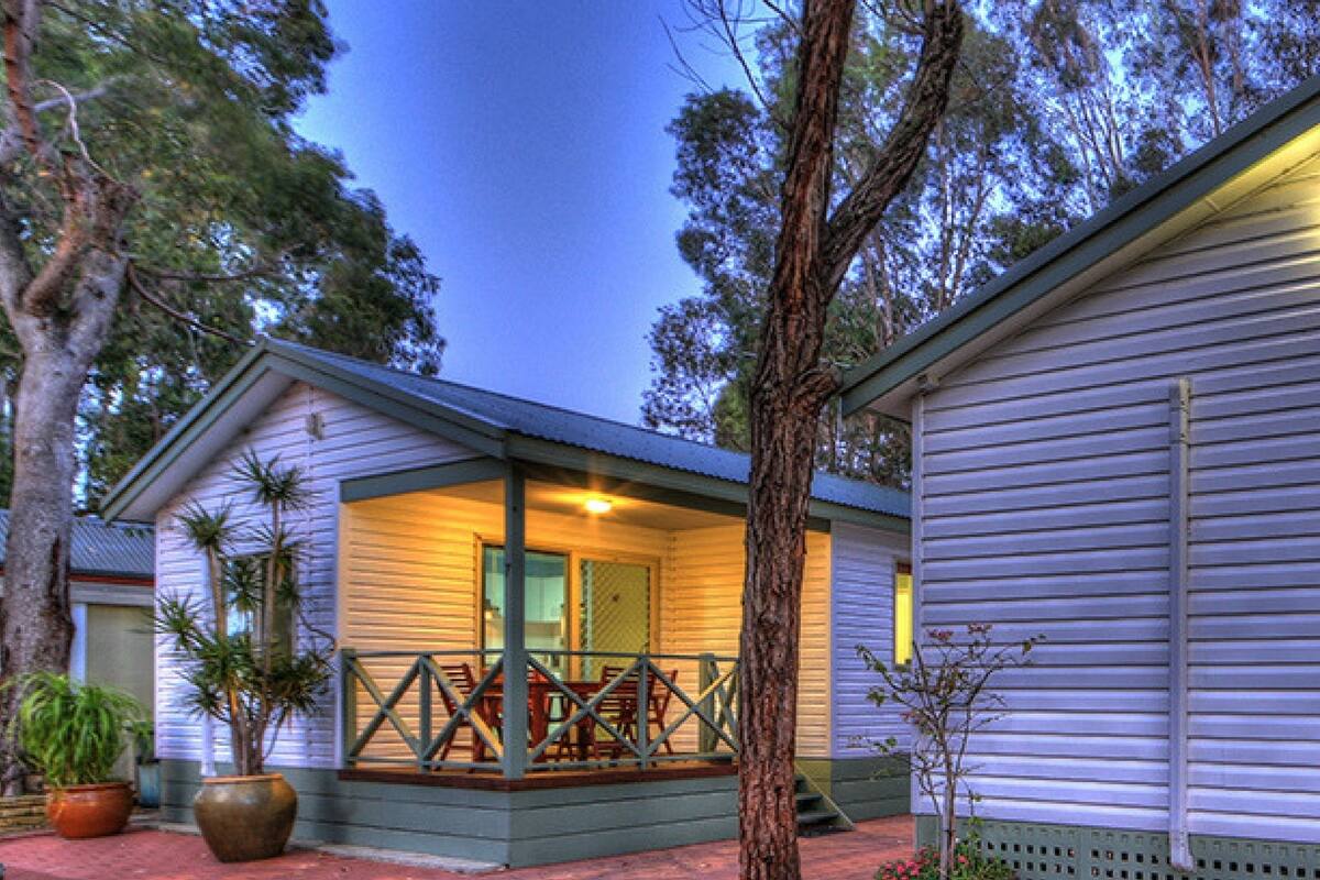 A single-story building with a porch, large potted plants, and a tree in front.