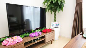 Private Vacation Home | Television