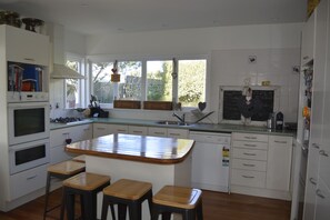 Fridge, oven, stovetop, dishwasher