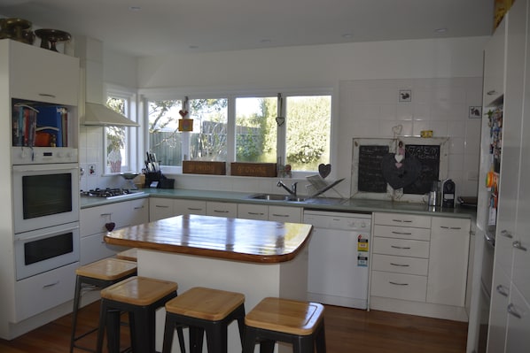 Fridge, oven, stovetop, dishwasher