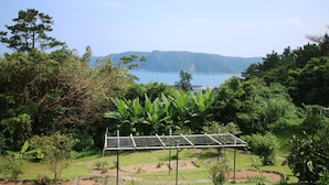 Un jardín con una estructura de paneles solares, abundante vegetación y una vista a un lago y montañas al fondo.