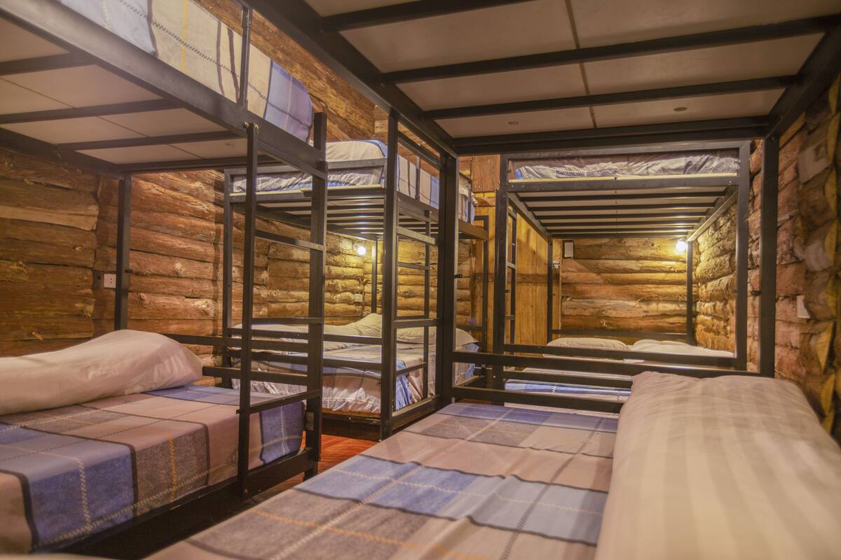 Dormitorio compartido básico (Bed in 14-Bed) | Caja de seguridad en la habitación y escritorio