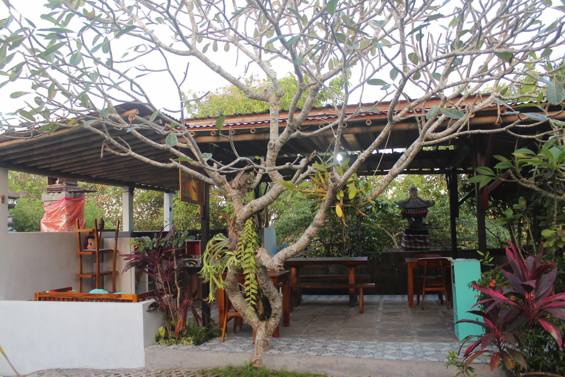 A covered outdoor seating area with a pergola, a stone floor, and various plants.
