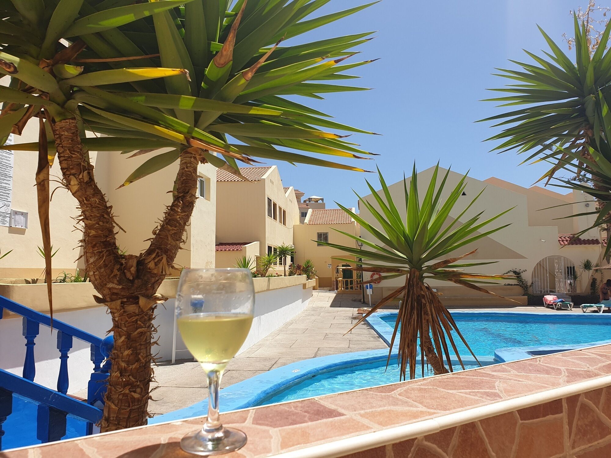 Un espace aménagé au bord de la piscine, avec un verre de vin blanc, des palmiers et un bâtiment doté d’un toit en tuiles.
