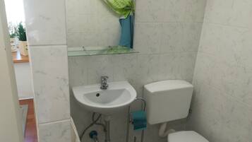 Appartement (EG) | Badkamer | Een douche, handdoeken, toiletpapier