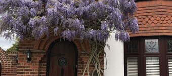 Lovely Family House in Sidcup