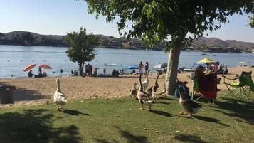 Beach nearby, sun loungers