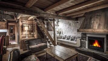 TV, fireplace, DVD player, books