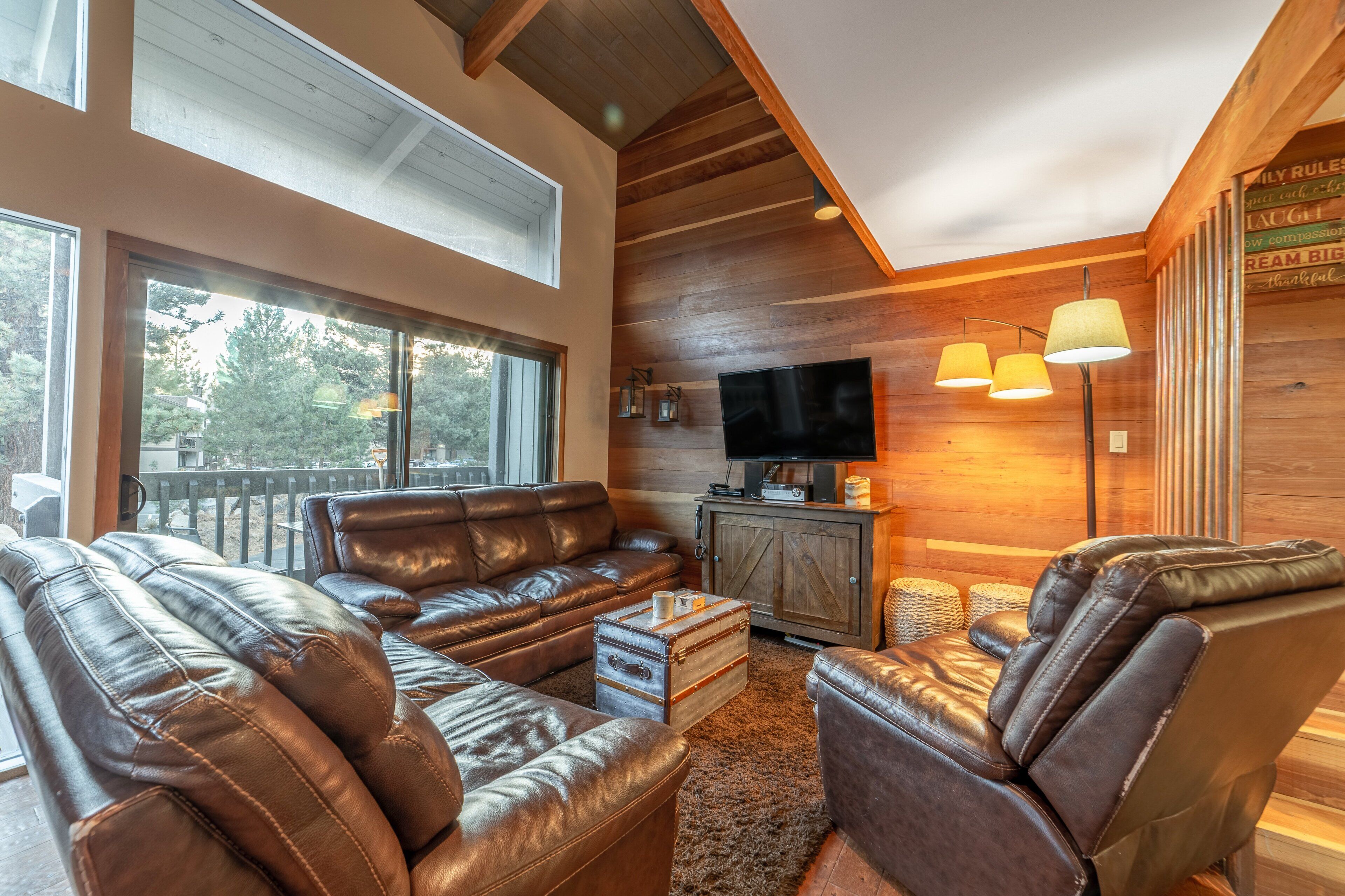 TV, fireplace, video games, DVD player