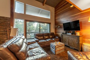 TV, fireplace, video games, DVD player