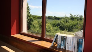 A window with a view of a green landscape and a bookshelf with books.