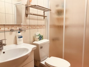 Douche, articles de toilette gratuits, sèche-cheveux, chaussons