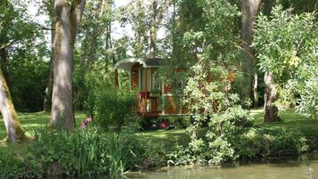 Individually decorated, individually furnished, iron/ironing board