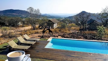 Una piscina al aire libre, sombrillas, sillones reclinables de piscina