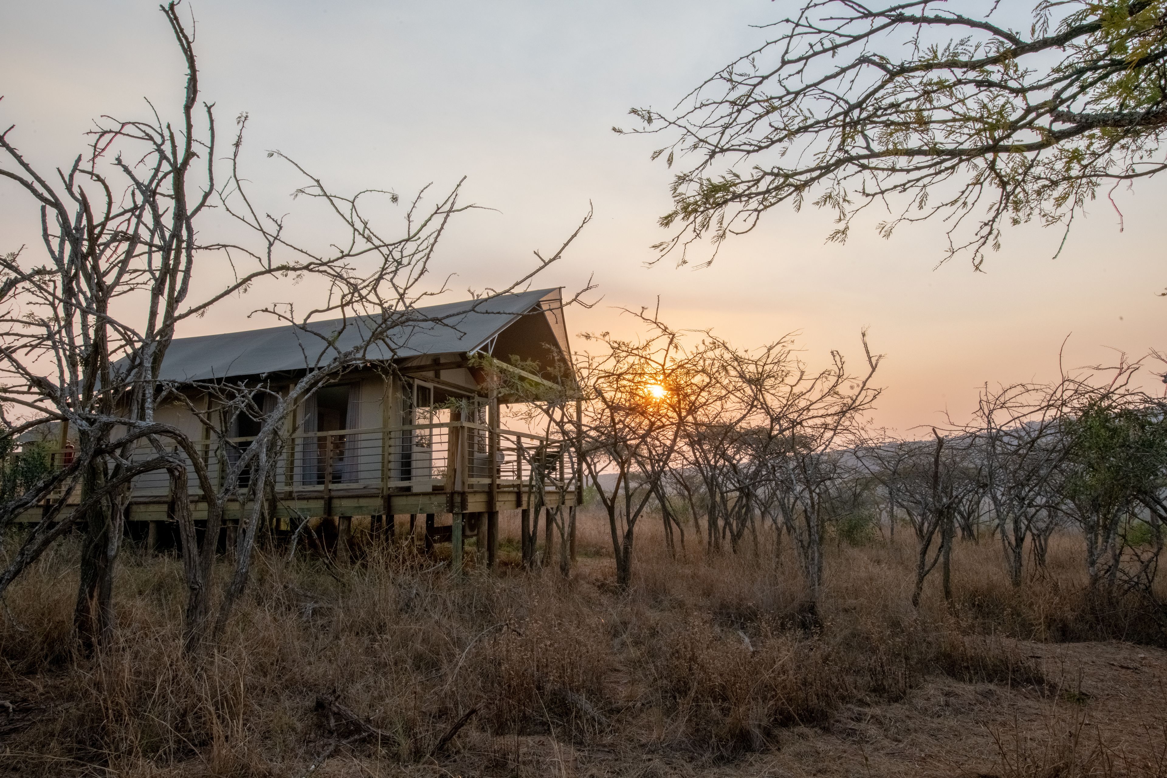 A wooden cabin with a metal roof, surrounded by dry grass and trees, during sunset.