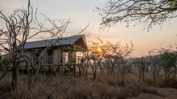 A wooden cabin with a metal roof, surrounded by dry grass and trees, during sunset.