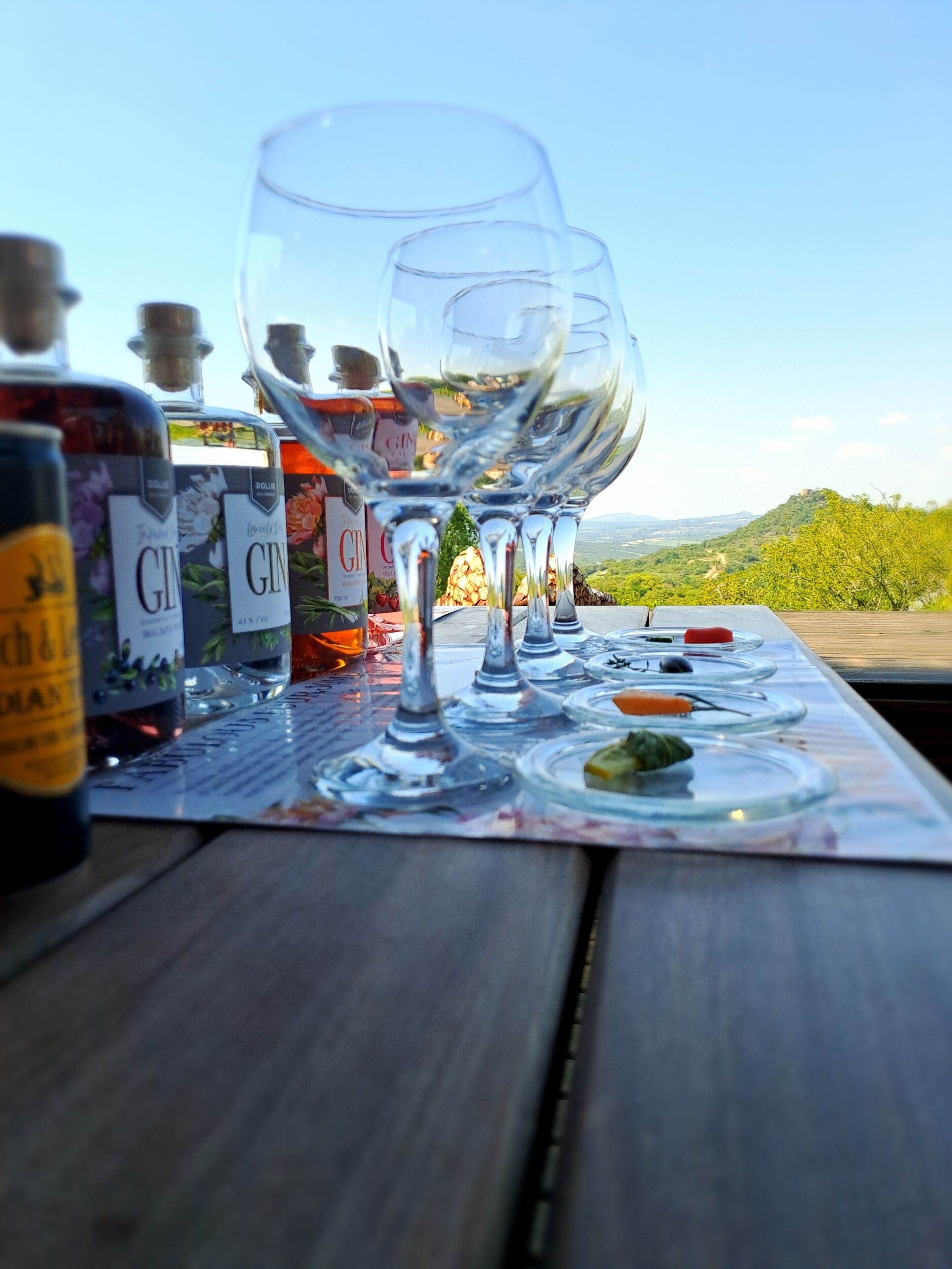 A table with empty wine glasses and bottles of gin and other spirits, set against a scenic outdoor backdrop.