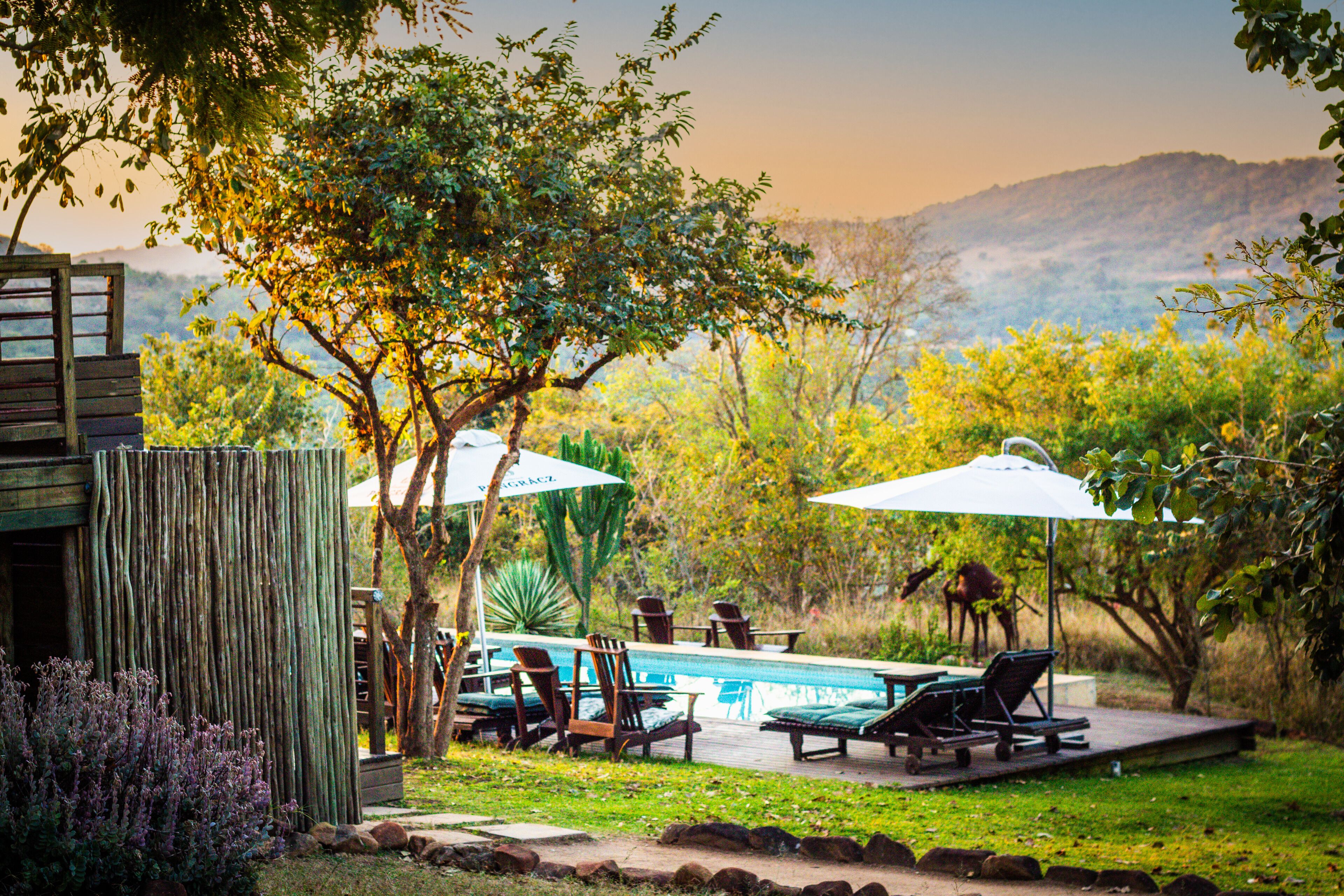 Outdoor pool, pool umbrellas, sun loungers