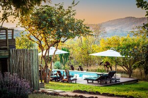 Una piscina al aire libre, sombrillas, sillones reclinables de piscina