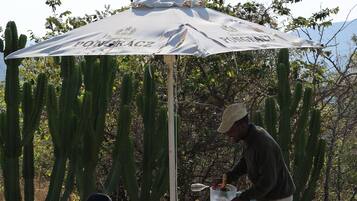 Une personne sert une boisson à une autre personne assise sous un parasol, dans un décor désertique parsemé de cactus.