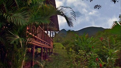 200Mbps fiber optic- La Fortuna - Arenal Volcano - 2 Bedroom cabin AMAZING view!