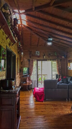 Smart TV, books - 200Mbps fiber optic- La Fortuna - Arenal Volcano - 2 Bedroom cabin AMAZING view! (La Fortuna)