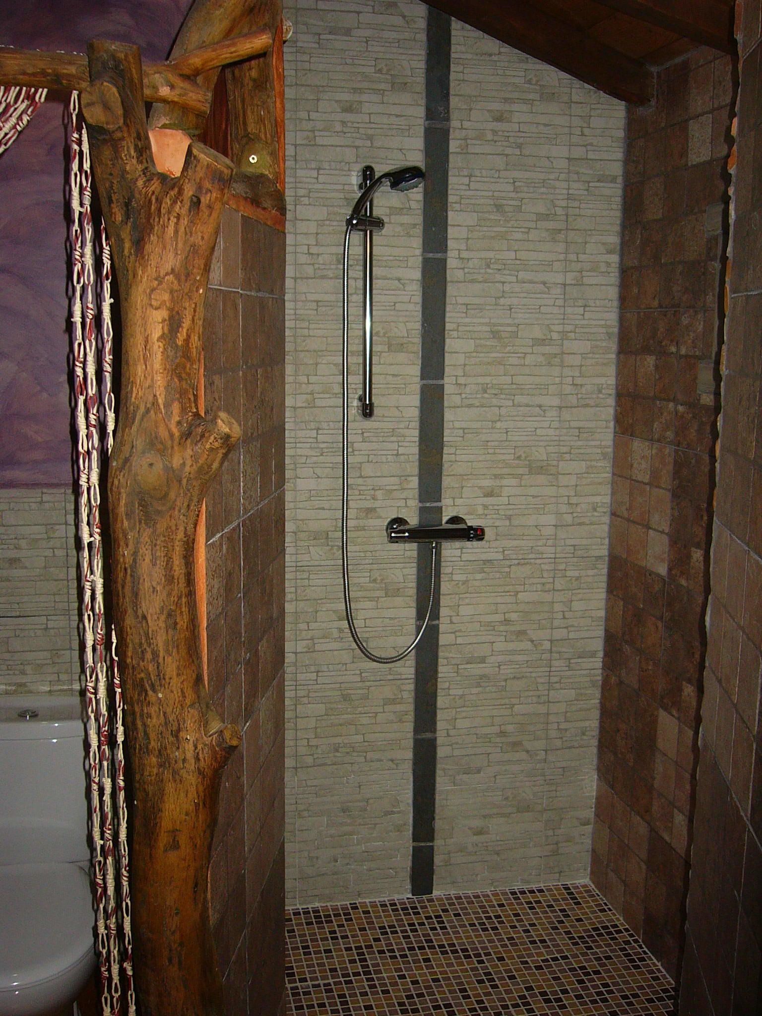 Double Room (Astur) | Bathroom | Shower, hair dryer, towels, soap