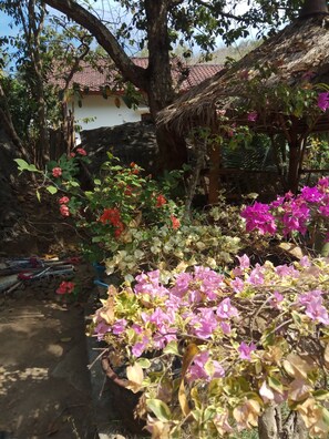 Property entrance - AttA Homestay (Kuta)