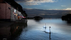 A stone building with a pub, swans on a calm river, and a cloudy sky. - The Wilcove Inn (Torpoint)
